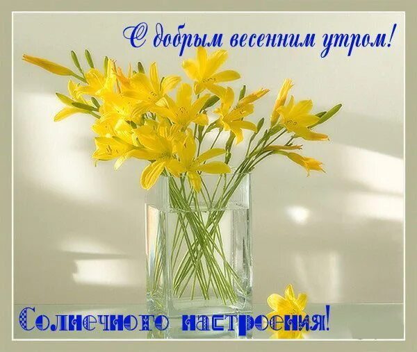 Доброе утро весны картинки прикольные с надписями. Поздравление с добрым весенним утром. Пожелания с добрым весенним утром. Открытки с добрым утром весенние. С добрым мартовским утром с пожеланиями.
