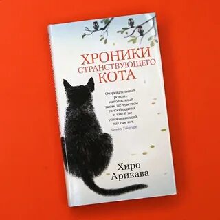 Хроники кота