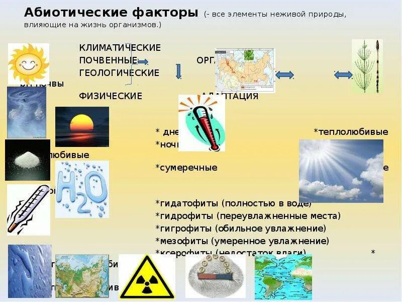 Совокупность факторов живой и неживой природы называют. Абиотические факторы неживой природы. Влияние абиотических факторов на организмы. Абиотические факторы природы. Экологические факторы неживой природы абиотические.