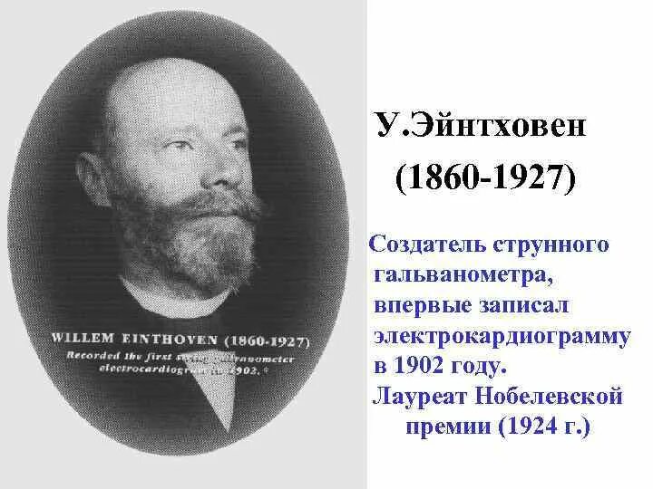 Виллем эйнтховен вклад в медицину. Эйнтховен изобретение электрокардиографа. виллем эйнтховен. электрокардиограф: виллем эйнтховен. виллем эйнтховен физиолог.