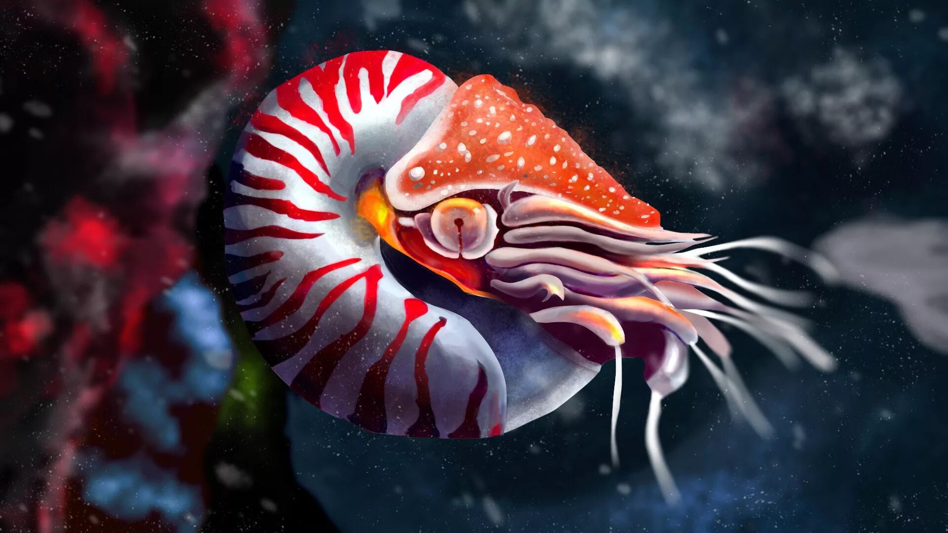 Раковина головоногих. Наутилус головоногие. Наутилус моллюск. Наутилус головной моллюск. Nautilus Pompilius моллюск.