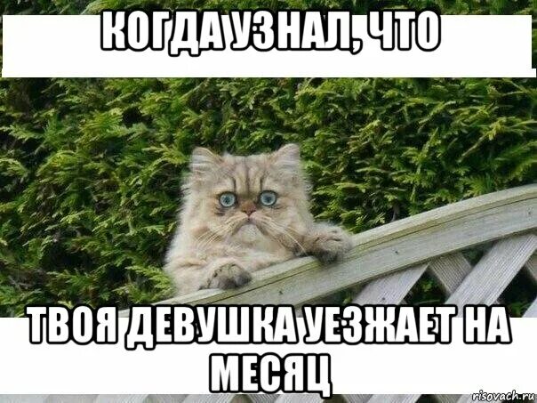 Мемы про месяц. Перехожу на ручное управление мем. управление мем. юг мем. юг мемы.