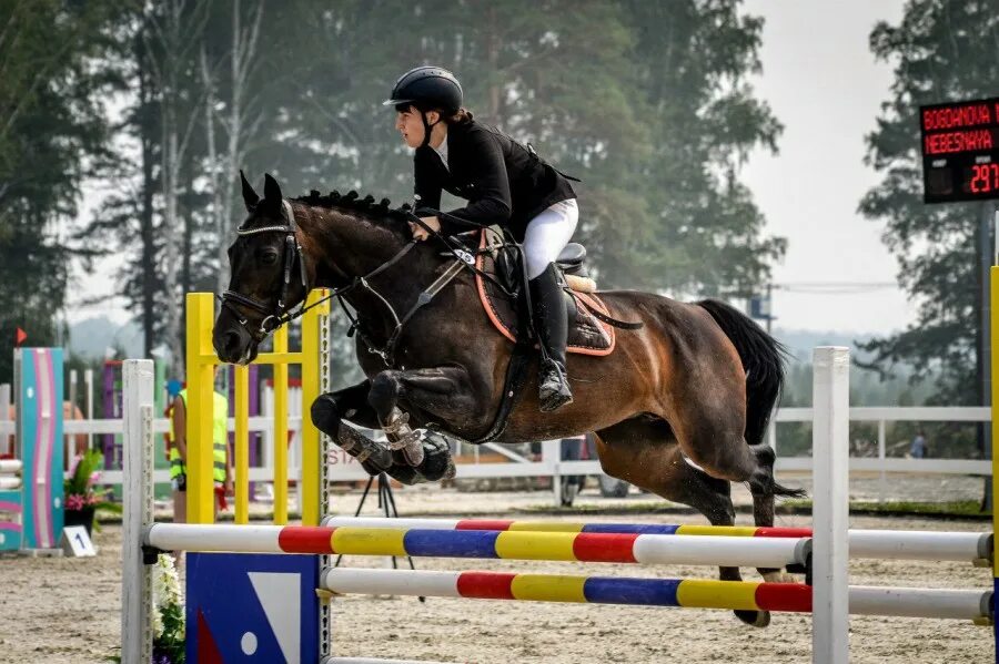 конноспортивная школа 15 дагомыс. русаков сергей владимирович конный спорт. мбу конного спорта. кск джамп новокузнецк. конный спорт екатеринбург.