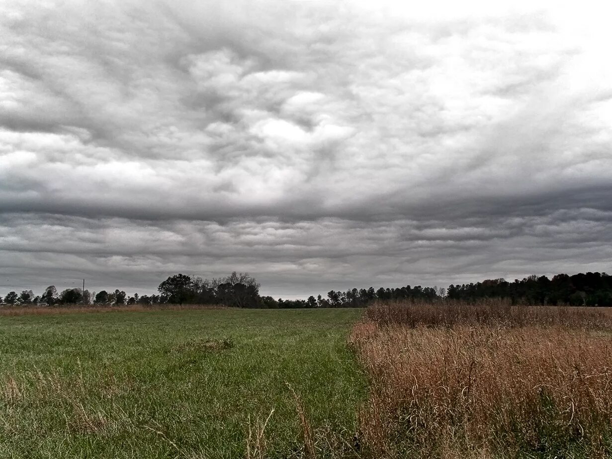 Слоисто дождевые облака осадки. Слоистые дождевые облака образуются. Облака нижнего яруса, слоисто-дождевые. Облака нижнего яруса, слоисто-дождевые. Кучёво дождевые облака.