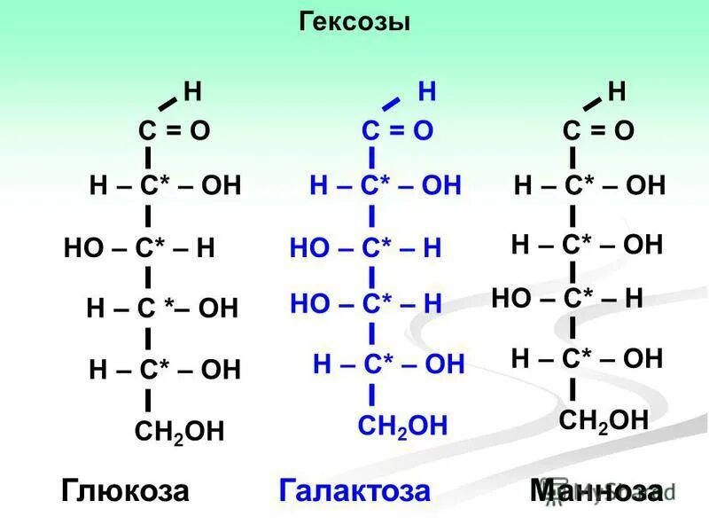 Гексоза это