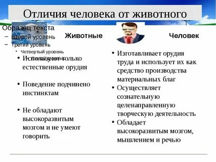 Назовите главные признаки отличающие человека от животных
