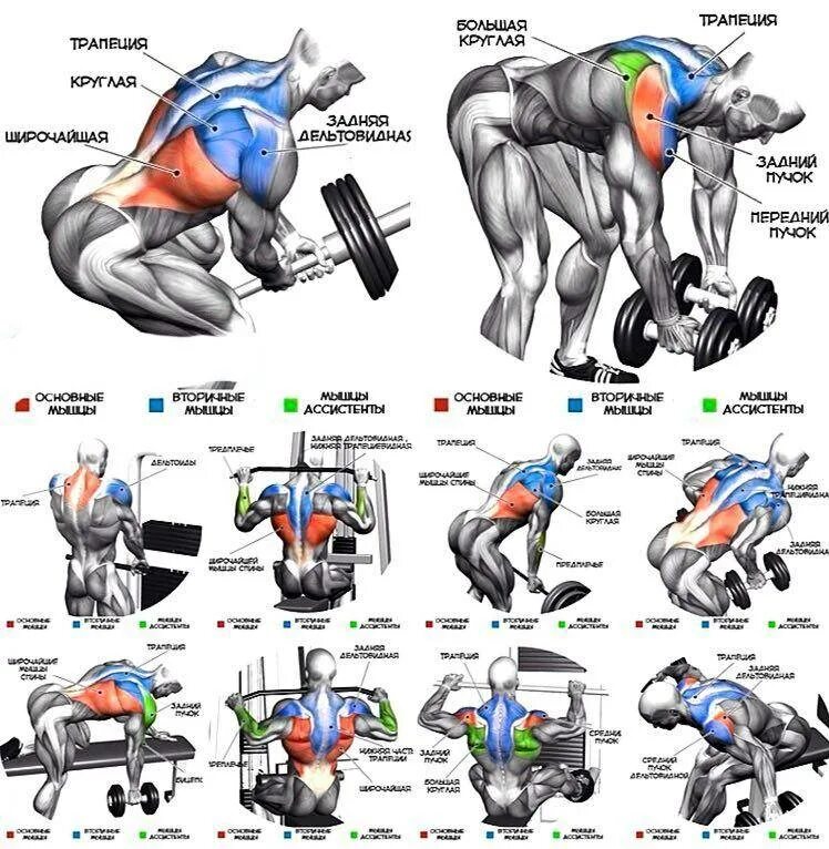 Как накачать спину в зале. Упражнения для прокачки спины в тренажерном зале. Комплекс упражнений на спину в тренажерном зале для мужчин. Упражнения на широчайшие мышцы спины в тренажерном зале. Упражнения на широчайшие мышцы спины в тренажерном зале для мужчин.