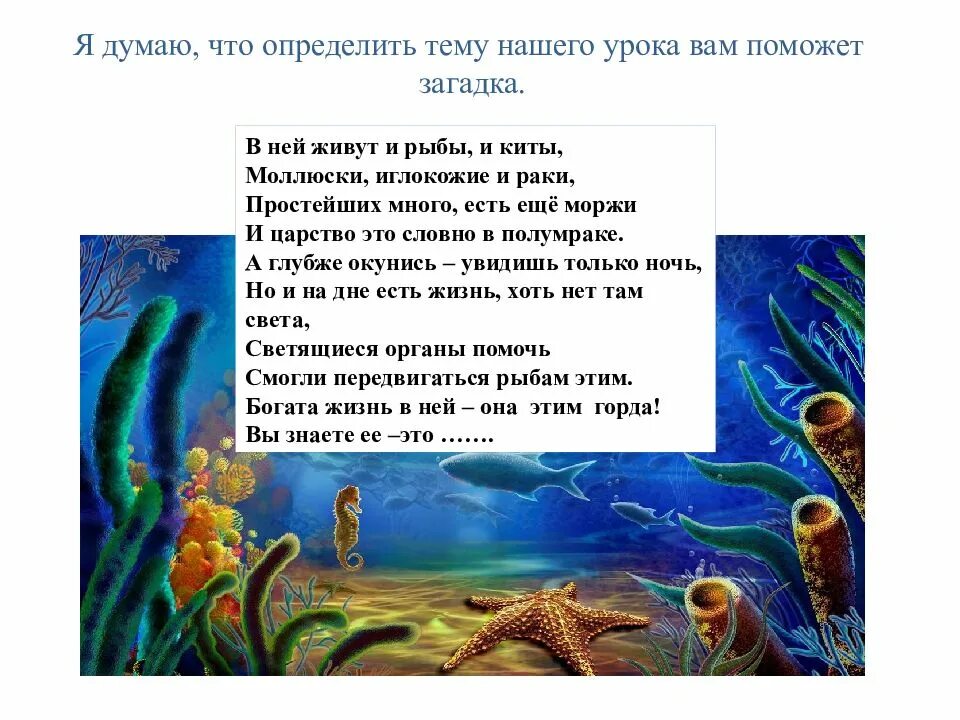 Загадки про водную среду. Стихи про водную среду обитания. Загадки по средам обитания. Загадки о среде обитания. Среда обитания вода 5 класс биология