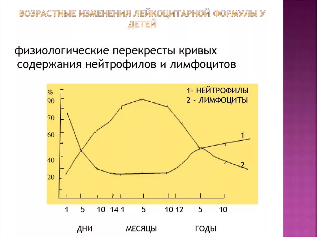 Возрастные изменения лейкоцитарной формулы. Первый и второй Перекрест нейтрофилов и лимфоцитов. График изменения лейкоцитарной формулы крови в онтогенезе. Первый физиологический Перекрест в лейкоцитарной формуле. Возрастные изменения крови