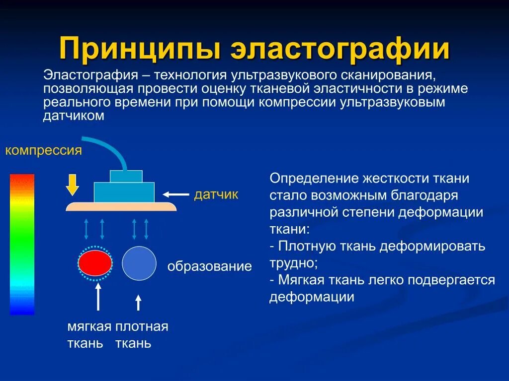 Эластография щитовидной железы что это. Ультразвуковая эластография печени сдвиговой волной. Ультразвуковая эластография щитовидной железы. Компрессионная эластография щитовидной железы. Ультразвуковая компрессионная эластография.