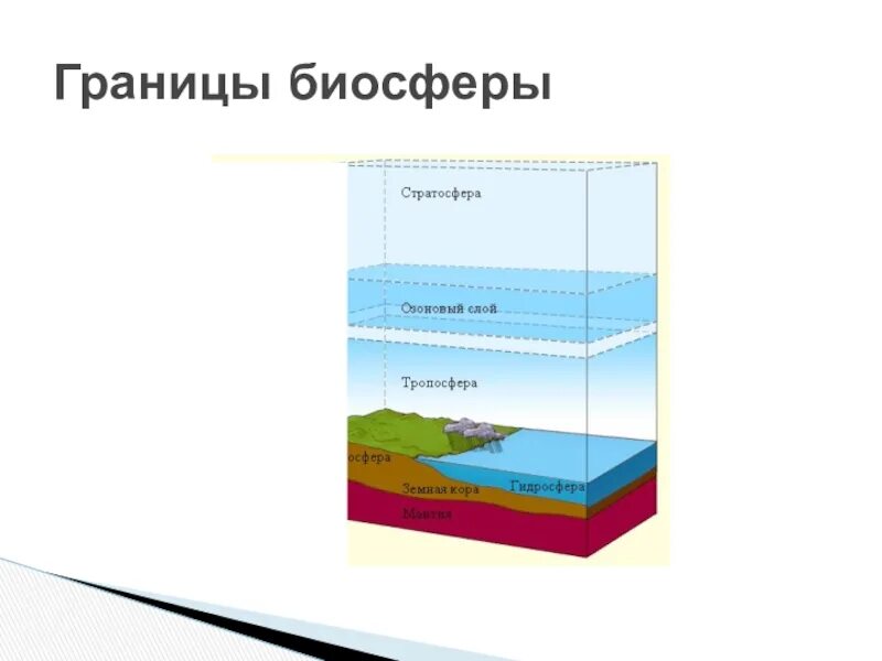 Границы распространения биосферы схема. Нарисуйте схему границы биосферы. Схема границы биосферы 6 класс. Рис 103 границы биосферы.