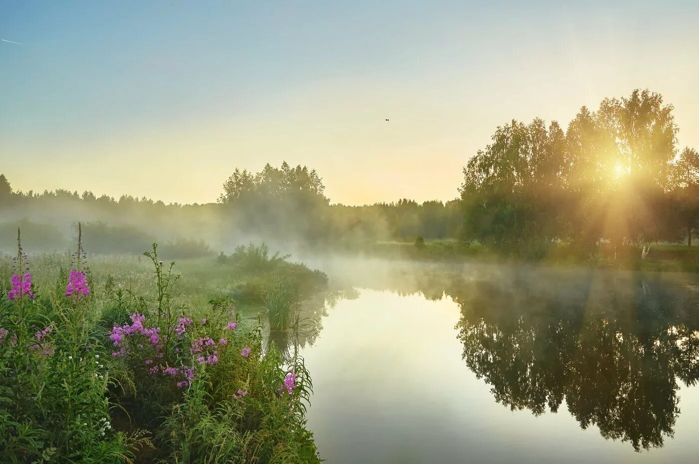 Утренний пейзаж. Красивые летние пейзажи. Летнее утро. Июньский рассвет.