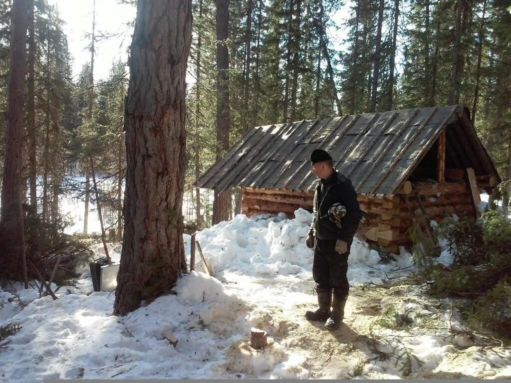 Живем в тайге 1. Охотники промысловики в тайге. Охотники промысловики Сибири. Охотник Промысловик.