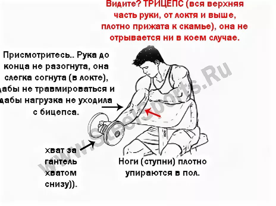 Избыточные физические нагрузки. Болят мышцы после тренировки. Мышцы после тренировки. Больно разгибать руку в локте после тренировки бицепса. Болит бицепс после тренировки.