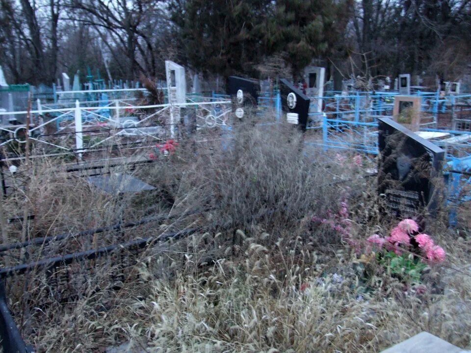 Найти родственников на кладбище. Русское кладбище. Современное кладбище. Старое русское кладбище. Деревенское кладбище.