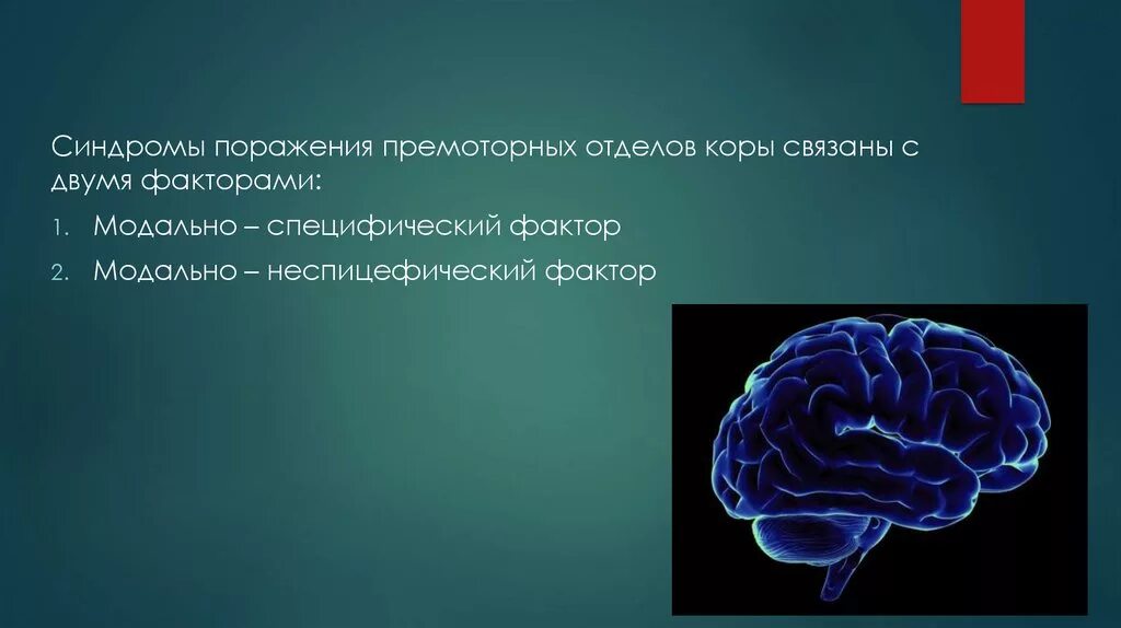 Нейропсихологические синдромы поражения мозга. Синдромы поражения премоторных отделов коры. Синдромы поражения коры головного мозга. Нейропсихологические синдромы поражения передних отделов коры.. Премоторных отделов.