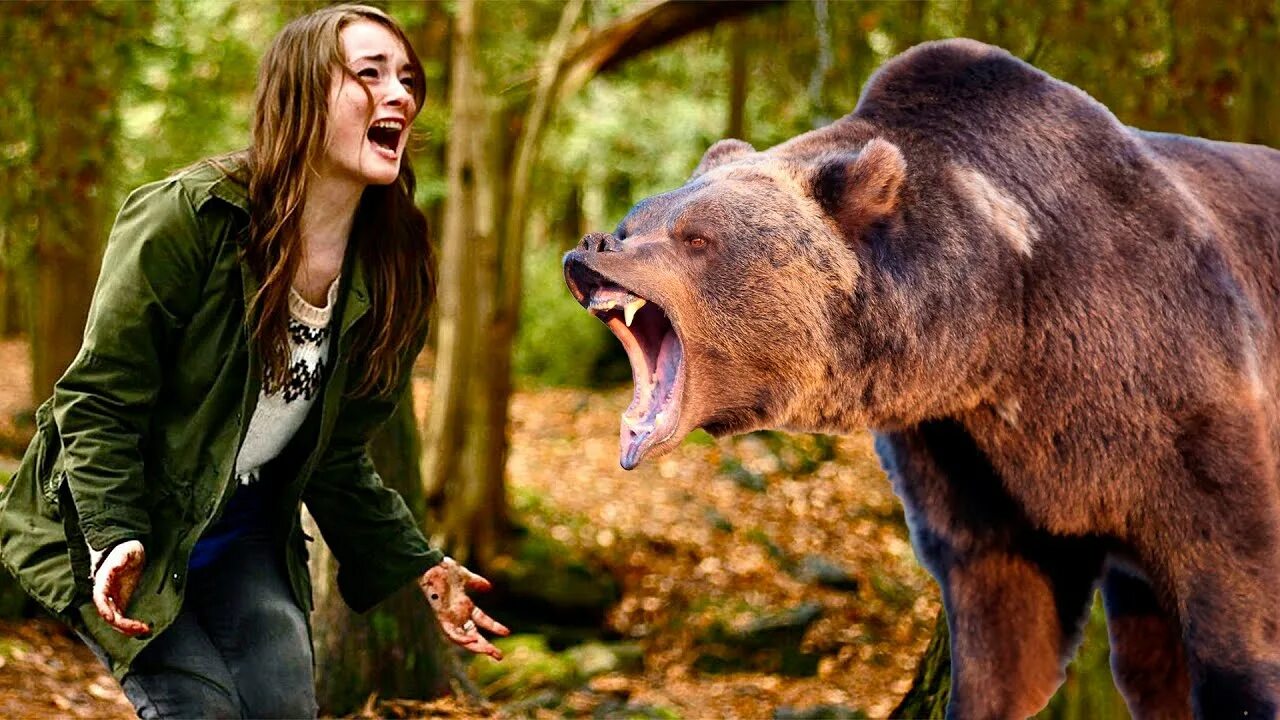 На поляну вышел лось. Медведь бежит за человеком. Убегает от медведя.