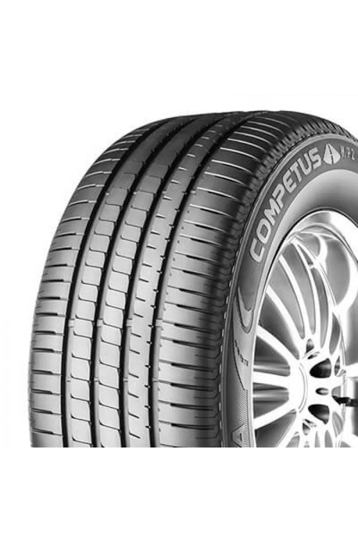 Lassa competus h p. Lassa competus h p