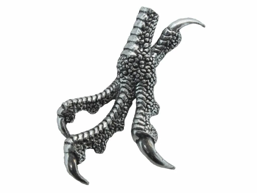 Когти коршуна. Когти орла. когти птицы. орлиные когти. лапы птиц.