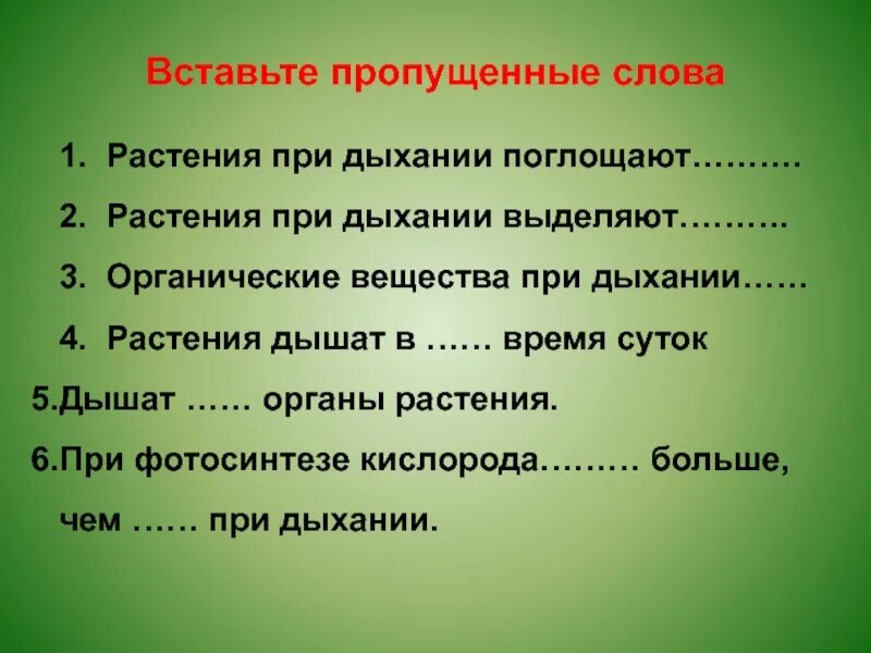 Время слова дышит. При дыхании растение поглощает. Вставьте пропущенные слова растения при дыхании. Растения придызании поглощают. Растения дышат в время суток.