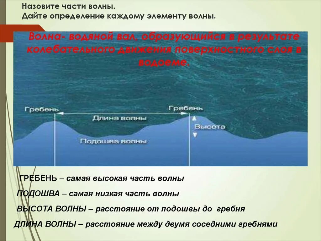 Гребень волны подошва волны. Части волны. Движение воды в океане. Волны элементы волны:. Высота волны. Части волны схема.