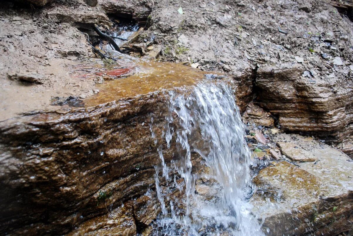 Родник апрель