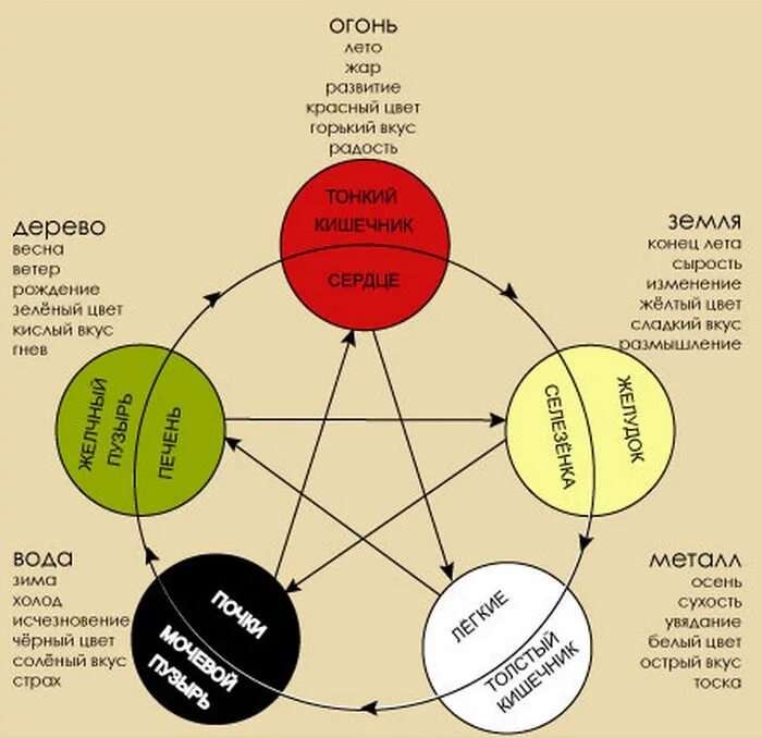 Дерево металл вода. Круг Усин 5 элементов. Пять первоэлементов китайской медицины. Схема у-син пять первоэлементов. У-син теория 5 первоэлементов.