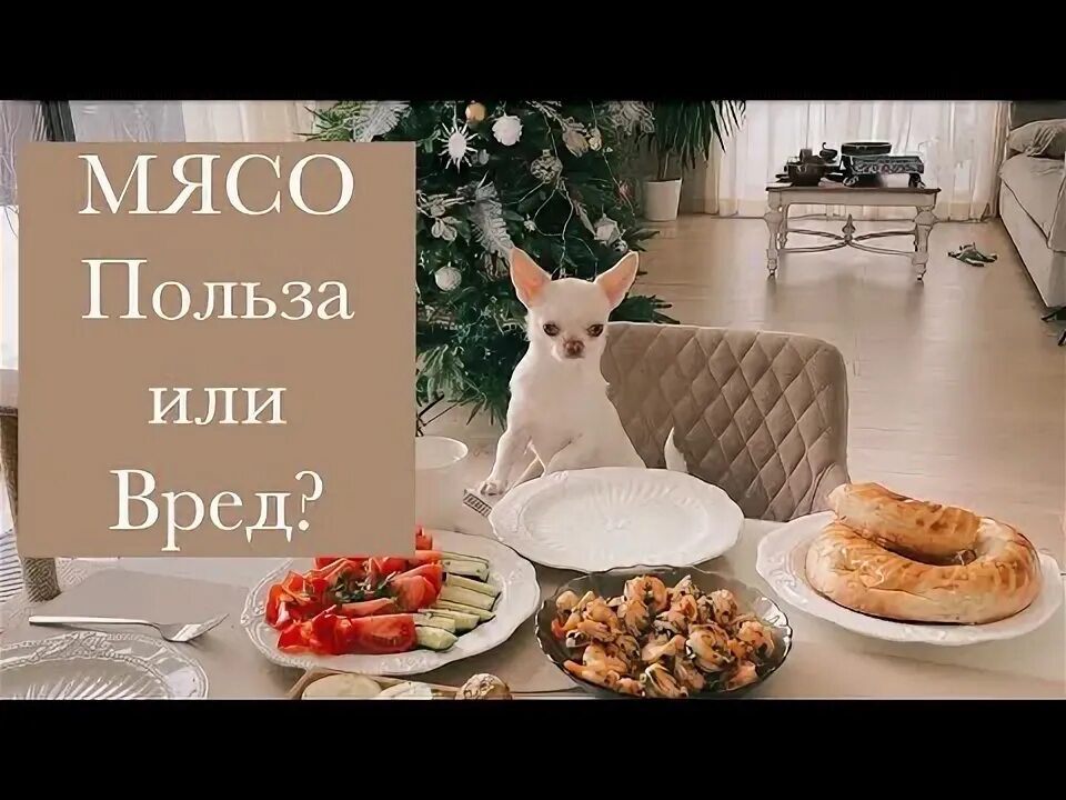 Польза мяса собаки. Польза мяса собаки. Польза мяса собаки. Натуралка для собак. Чем полезно мясо животных.