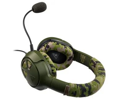 Gaming turtle
