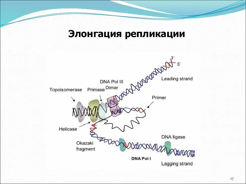 Матричная репликация