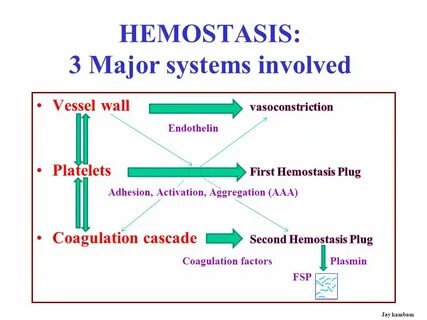 Major system