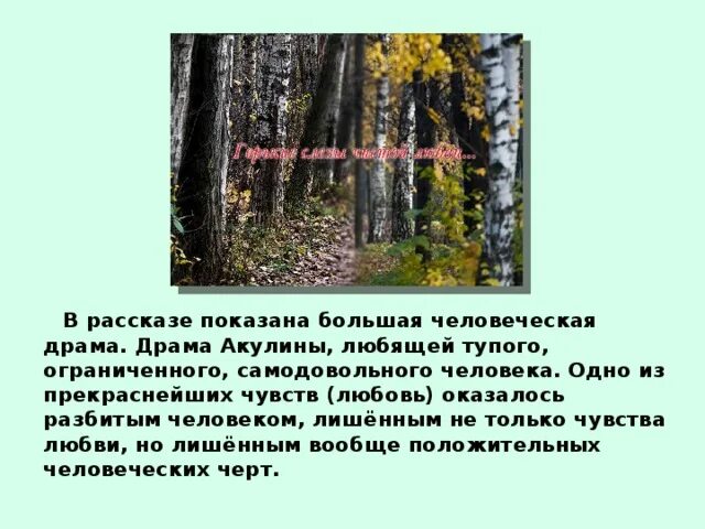 Свидание Тургенев краткое содержание. Произведение свидание Тургенев. Рассказ показ описание.