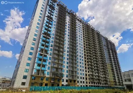 Мята новороссийск