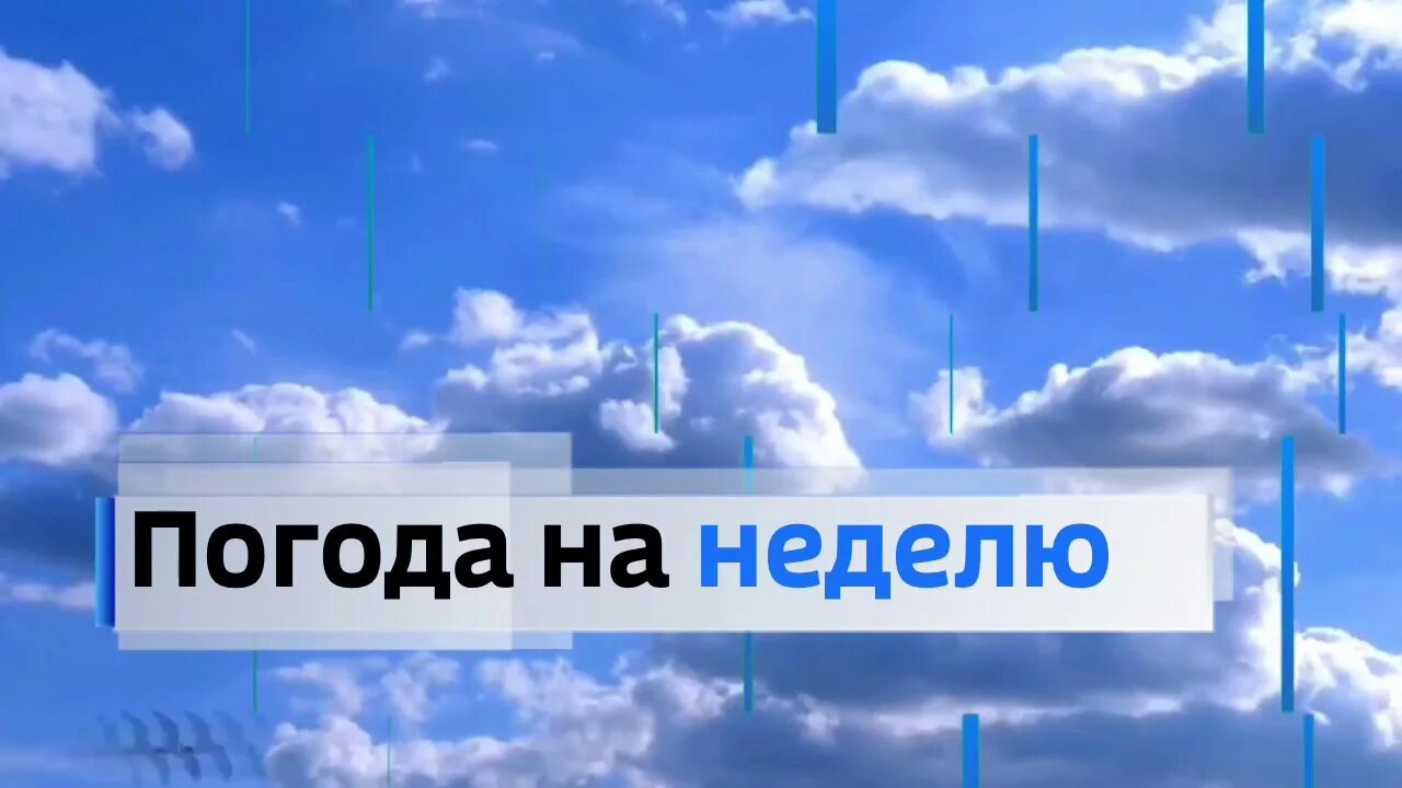 Местное время заставка. Вести погода заставка. Вести погода Россия 1. Погода заставка. Погода на канале россия 1