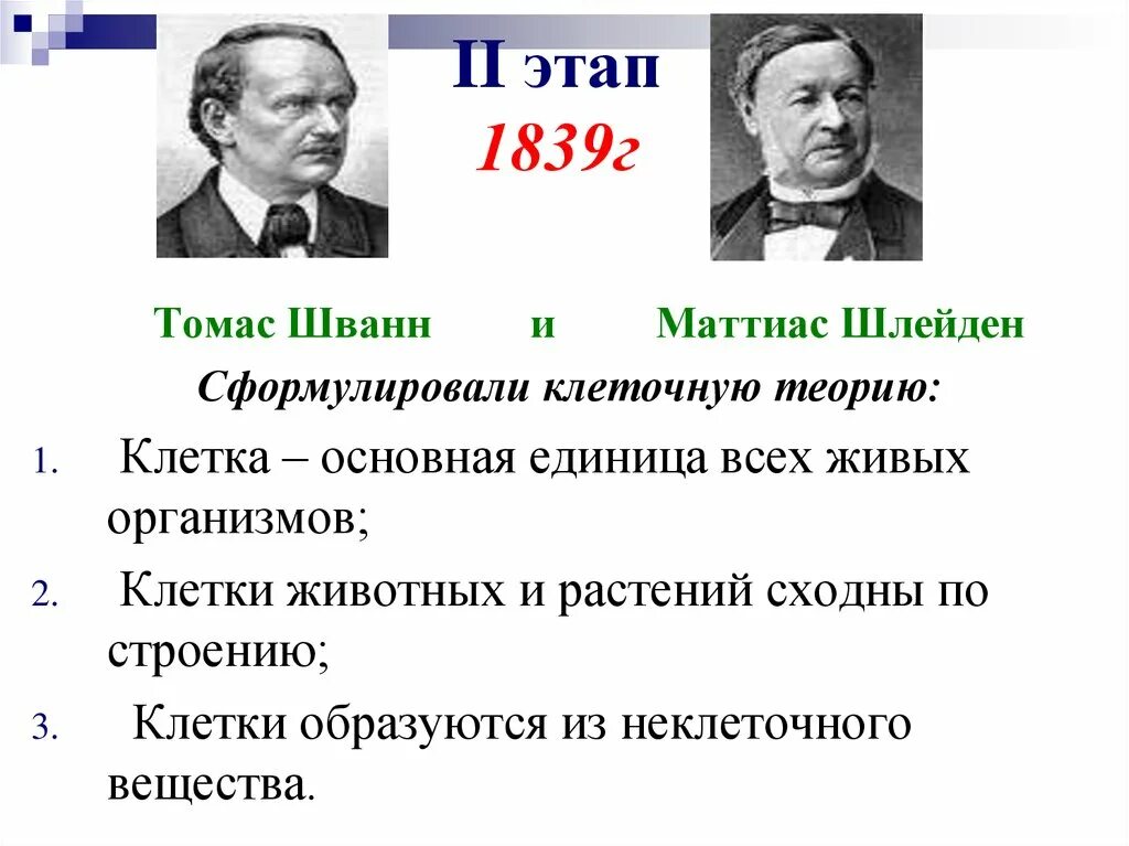 Клеточную теорию сформулировали 1 и 2. Маттиас якоб шлейден клеточная теория. томас шванн и матиас шлейден сформулировали. швенн сформулировали клеточную теори. томас шванн сформулировал клеточную теорию.