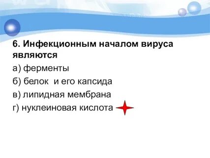 Вирус начало