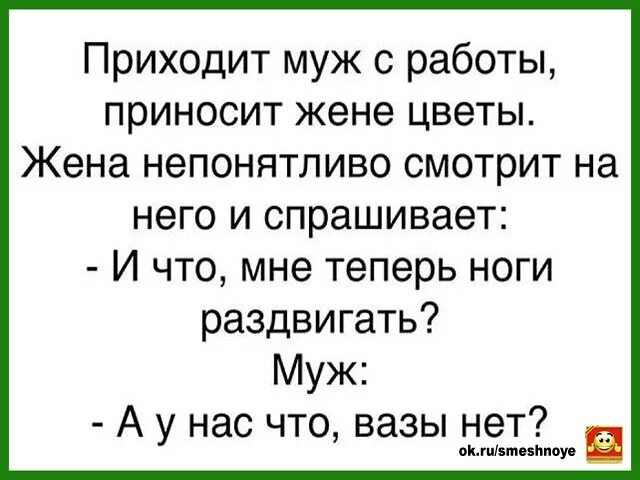 Жена принесла мужу видео. Приходит муж с работы приносит жене цветы. Муж пришел с работы. Приносит муж цветы жене анекдот. Анекдоты про непонятливых.