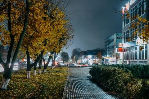 Погода россошь сегодня и завтра