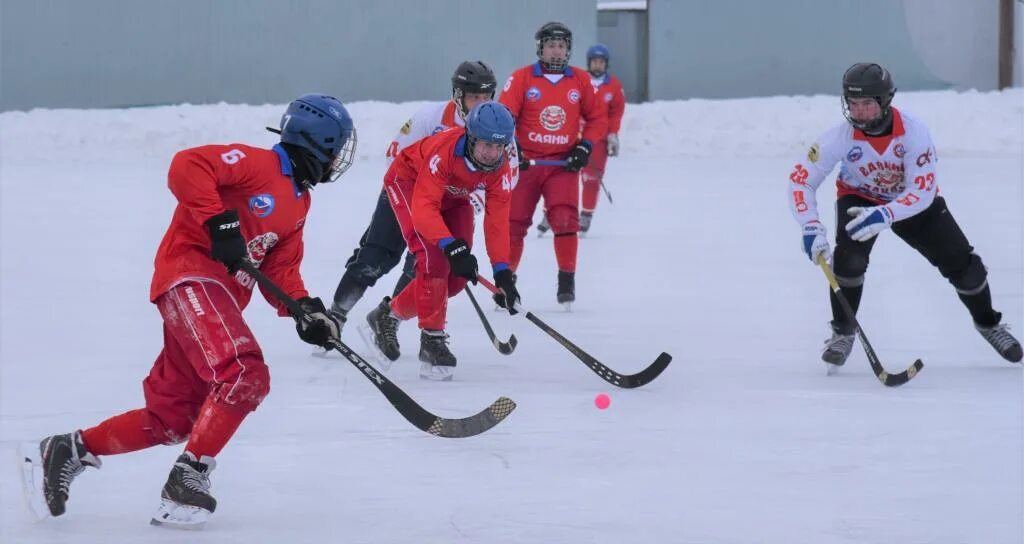 федерация хоккея с мячом республики хакасия. штурм абакан хоккей с мячом. хоккей хакасии. турнир по хоккею. хоккей с мячом абакан ирбис.