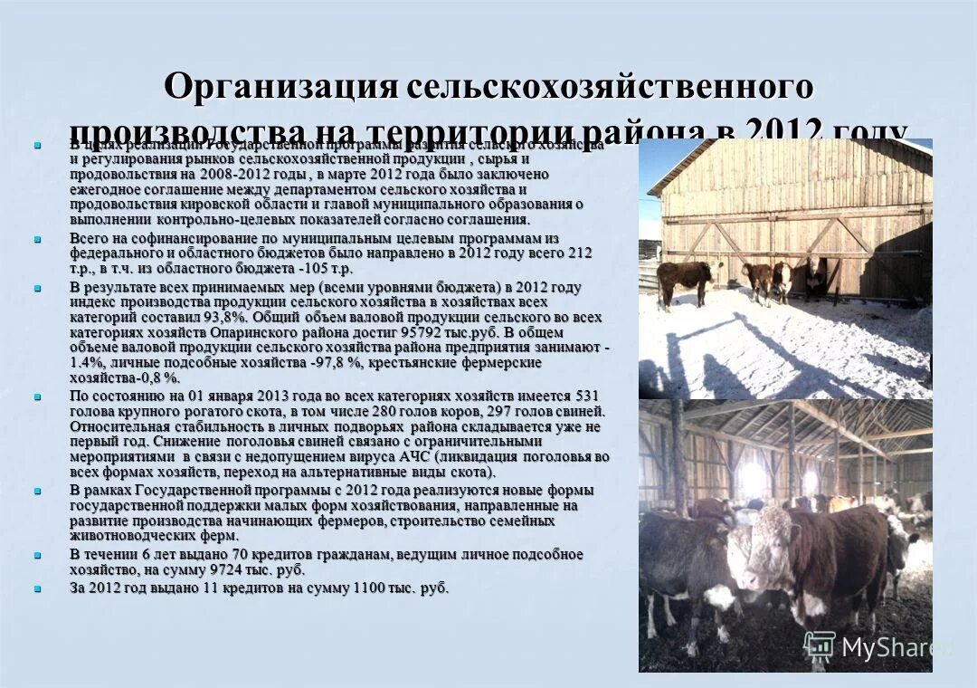 импортные продукты. прогноз развития сельского хозяйства. сельское хозяйство растениеводство. красивые продукты. органик мева сабзавот.