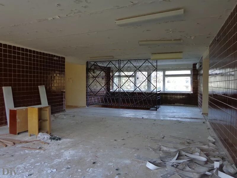 алые паруса лагерь.