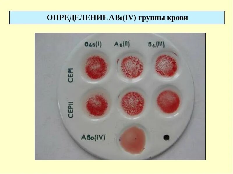 Как определяется группа