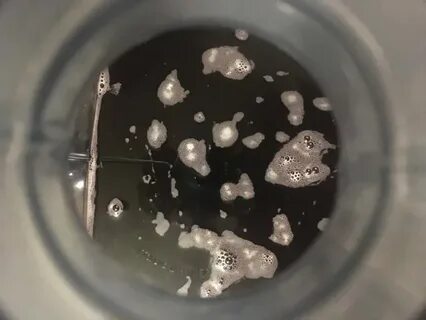 Плесень в воде