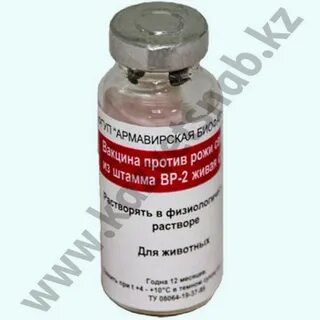 Рожа свиней вакцинация