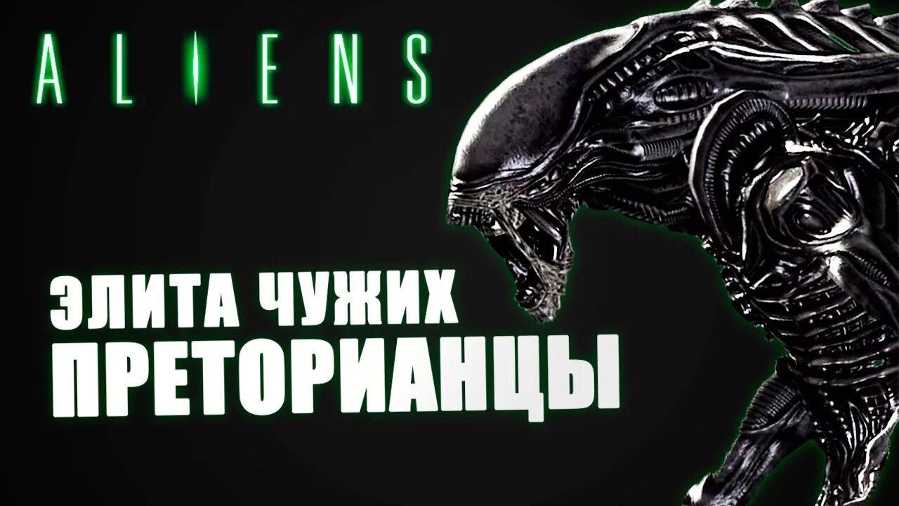 Песня чужой зовет. Блестящие - где же ты, где фото. Песни андрея мисина. Чужой против хищника приколы. Чужой песня.