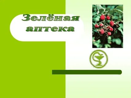 Зеленая аптека в минске каталог лекарств