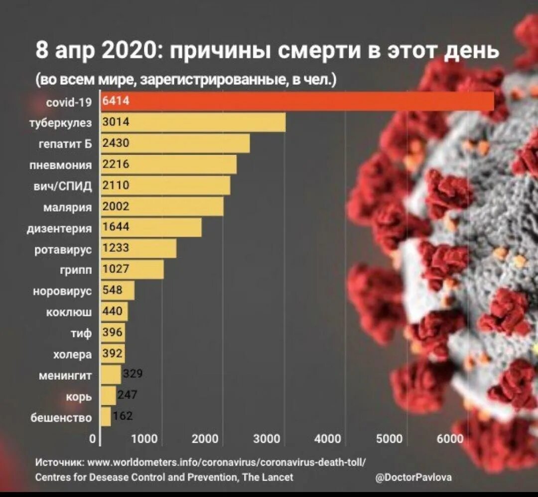 Национальное смертельное голосование. Статистика смертности. Статистика смертности от разных заболеваний. Статистика причин смерти. Статистика смертей от болезней.