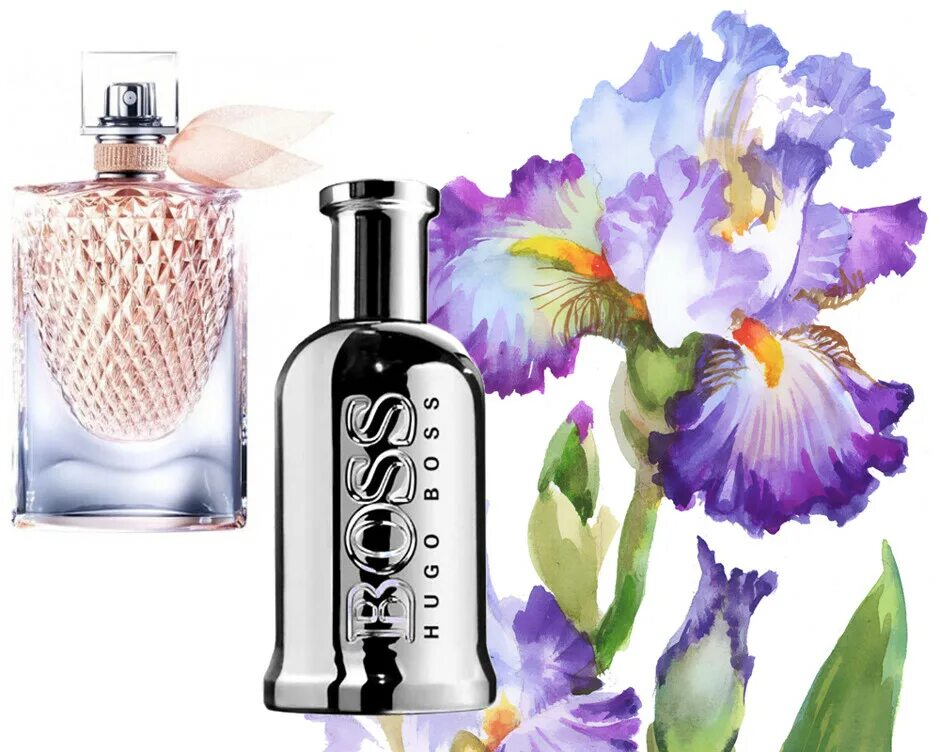 Iris парфюмерия. Туалетная вода iris. духи с ароматом ириса. туалетная вода с ароматом ириса. духи с ароматом ириса женские.