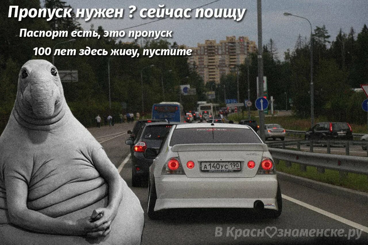 Девушка ждет машину. Сидим в машине ждем. Мужчина за рулем автомобиля. Сидим в машине ждем. Грустный водитель.