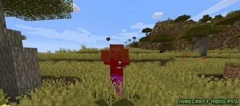 Torohealth 1.16 5